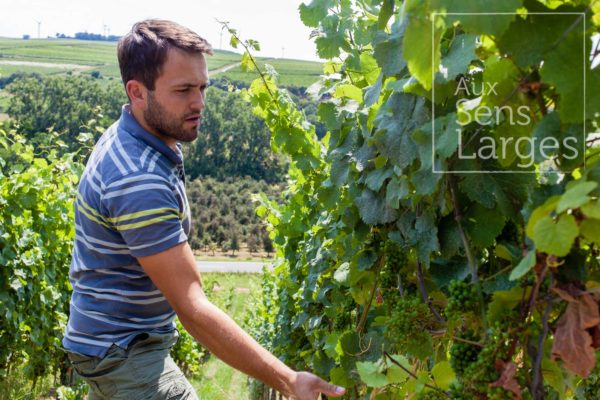 Visite domaine Patrick Kampf Flonheim