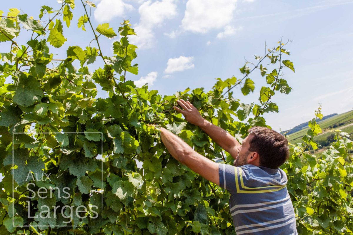 Visite domaine Patrick Kampf Flonheim