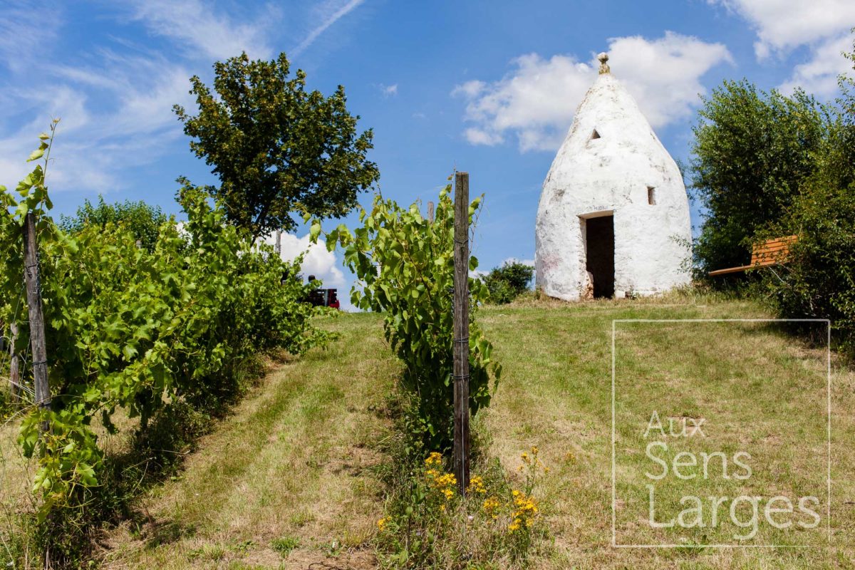 Visite domaine Patrick Kampf Flonheim